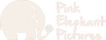 Pink Elephant Pictures